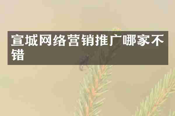宣城网络营销推广哪家不错