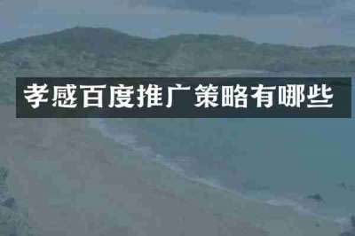 孝感百度推广策略有哪些