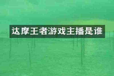 达摩王者游戏主播是谁