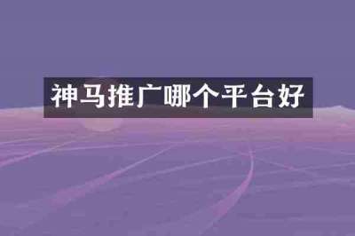 神马推广哪个平台好