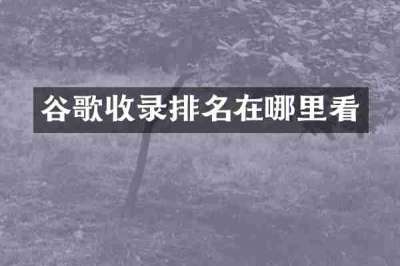 谷歌收录排名在哪里看