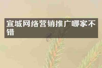 宣城网络营销推广哪家不错