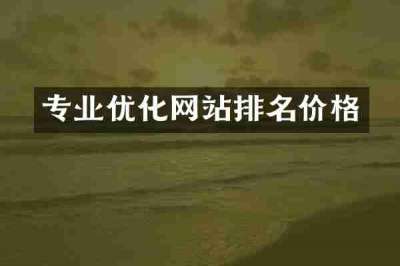 专业优化网站排名价格