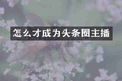 怎么才成为头条圈主播