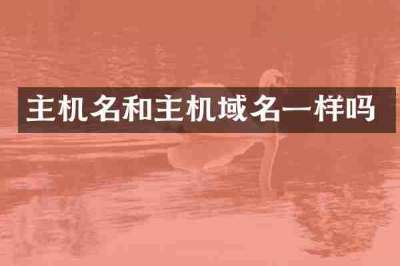 主机名和主机域名一样吗