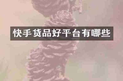 快手货品好平台有哪些