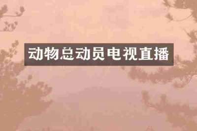 动物总动员电视直播
