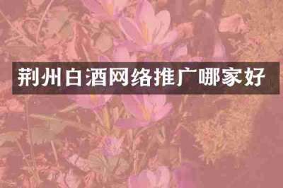 荆州白酒网络推广哪家好