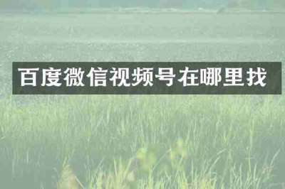 百度微信视频号在哪里找