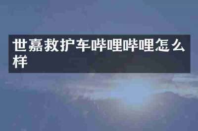 世嘉救护车哔哩哔哩怎么样