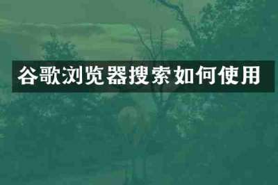 谷歌浏览器搜索如何使用