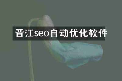 晋江seo自动优化软件