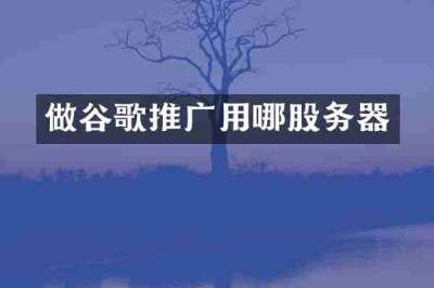 做谷歌推广用哪股务器