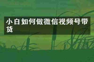 小白如何做微信视频号带货
