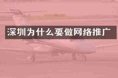 深圳为什么要做网络推广