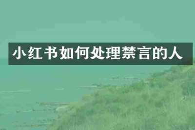 小红书如何处理禁言的人
