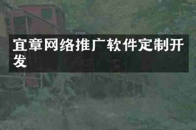 宜章网络推广软件定制开发