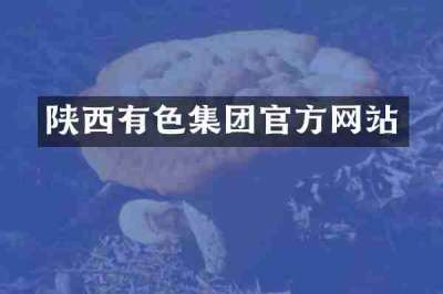 陕西有色集团官方网站