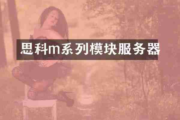 思科m系列模块服务器