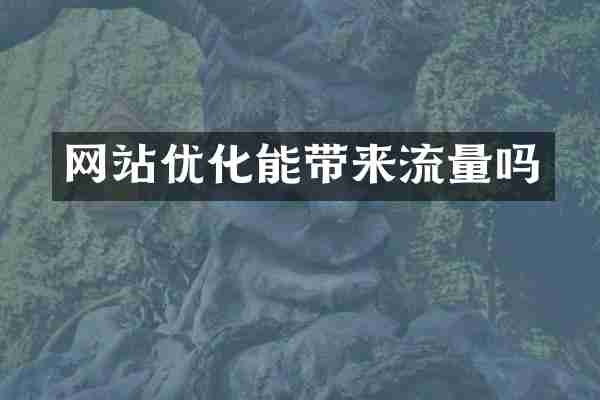 网站优化能带来流量吗