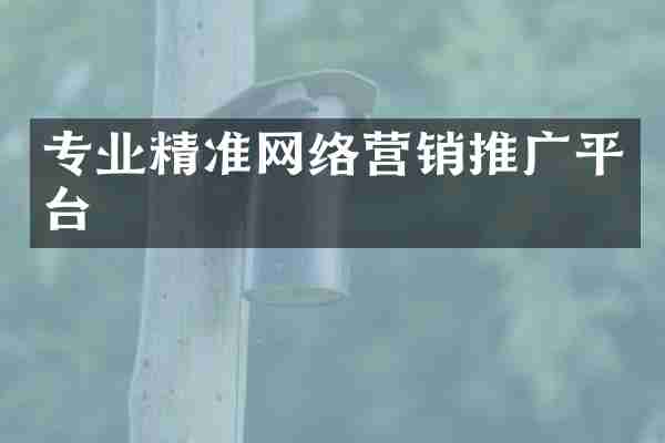 专业精准网络营销推广平台