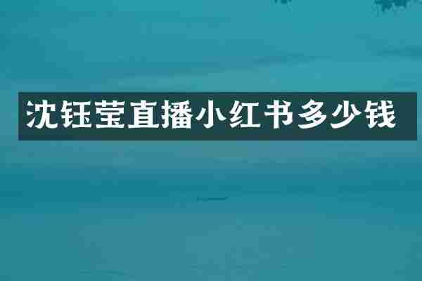 沈钰莹直播小红书多少钱