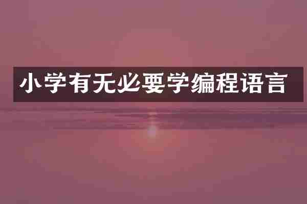 小学有无必要学编程语言