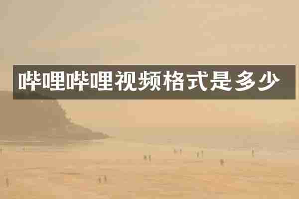 哔哩哔哩视频格式是多少