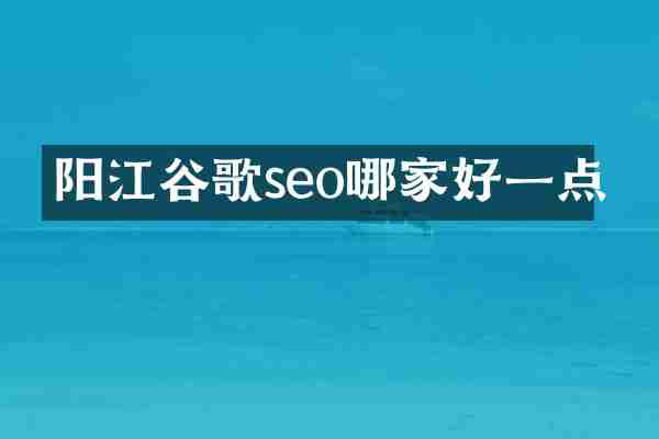 阳江谷歌seo哪家好一点