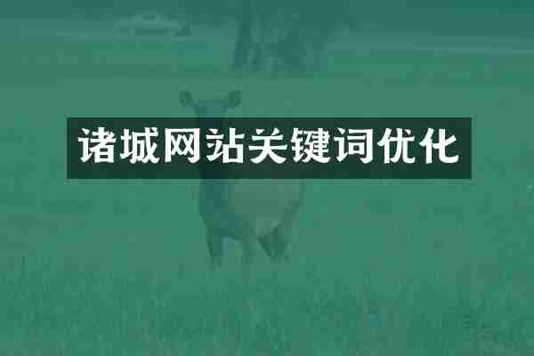 诸城网站关键词优化