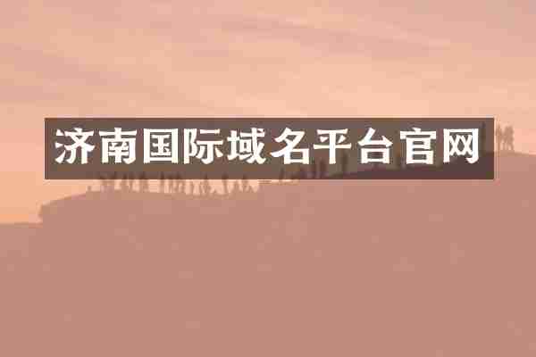 济南国际域名平台官网