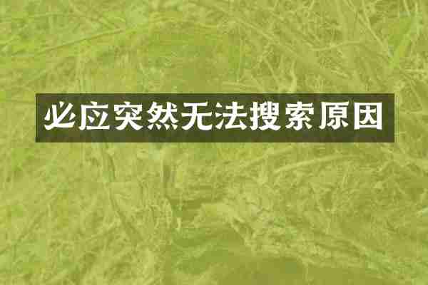 必应突然无法搜索原因