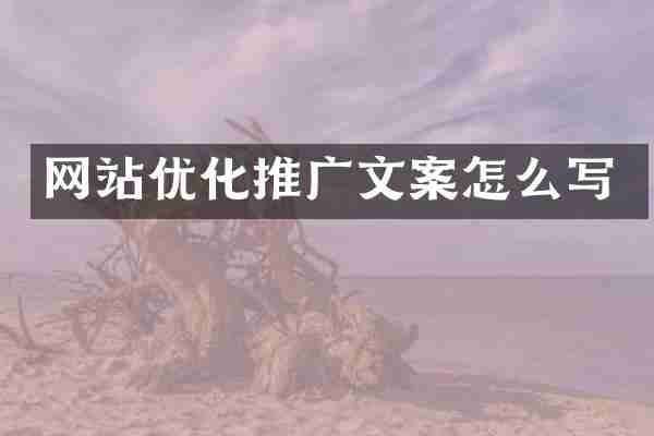 网站优化推广文案怎么写