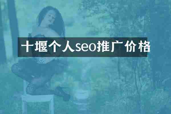 十堰个人seo推广价格