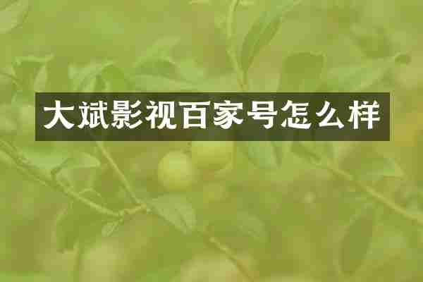 大斌影视百家号怎么样