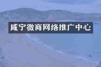 咸宁微商网络推广中心