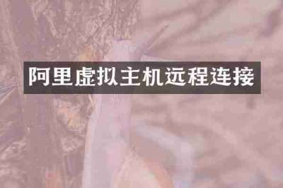阿里虚拟主机远程连接