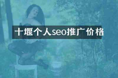 十堰个人seo推广价格