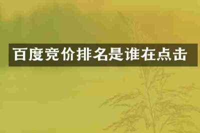 百度竞价排名是谁在点击