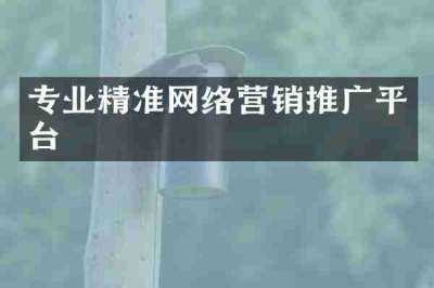 专业精准网络营销推广平台