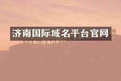 济南国际域名平台官网