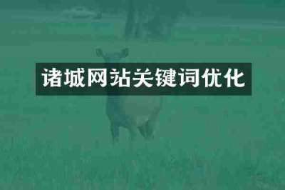 诸城网站关键词优化