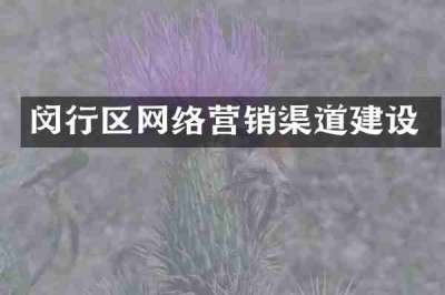 闵行区网络营销渠道建设