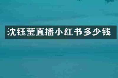 沈钰莹直播小红书多少钱