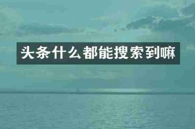 头条什么都能搜索到嘛