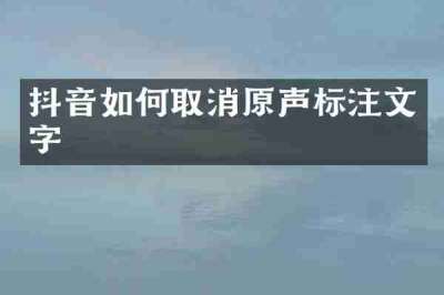 抖音如何取消原声标注文字