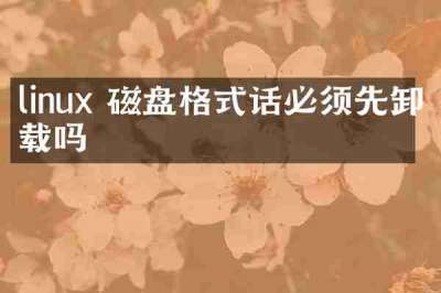 linux 磁盘格式话必须先卸载吗