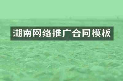 湖南网络推广合同模板