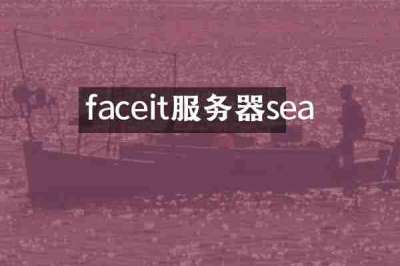 faceit服务器sea