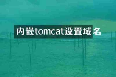 内嵌tomcat设置域名